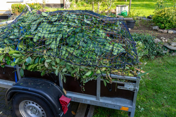 Best Moving and Downsizing Cleanouts  in Fairmont, IL